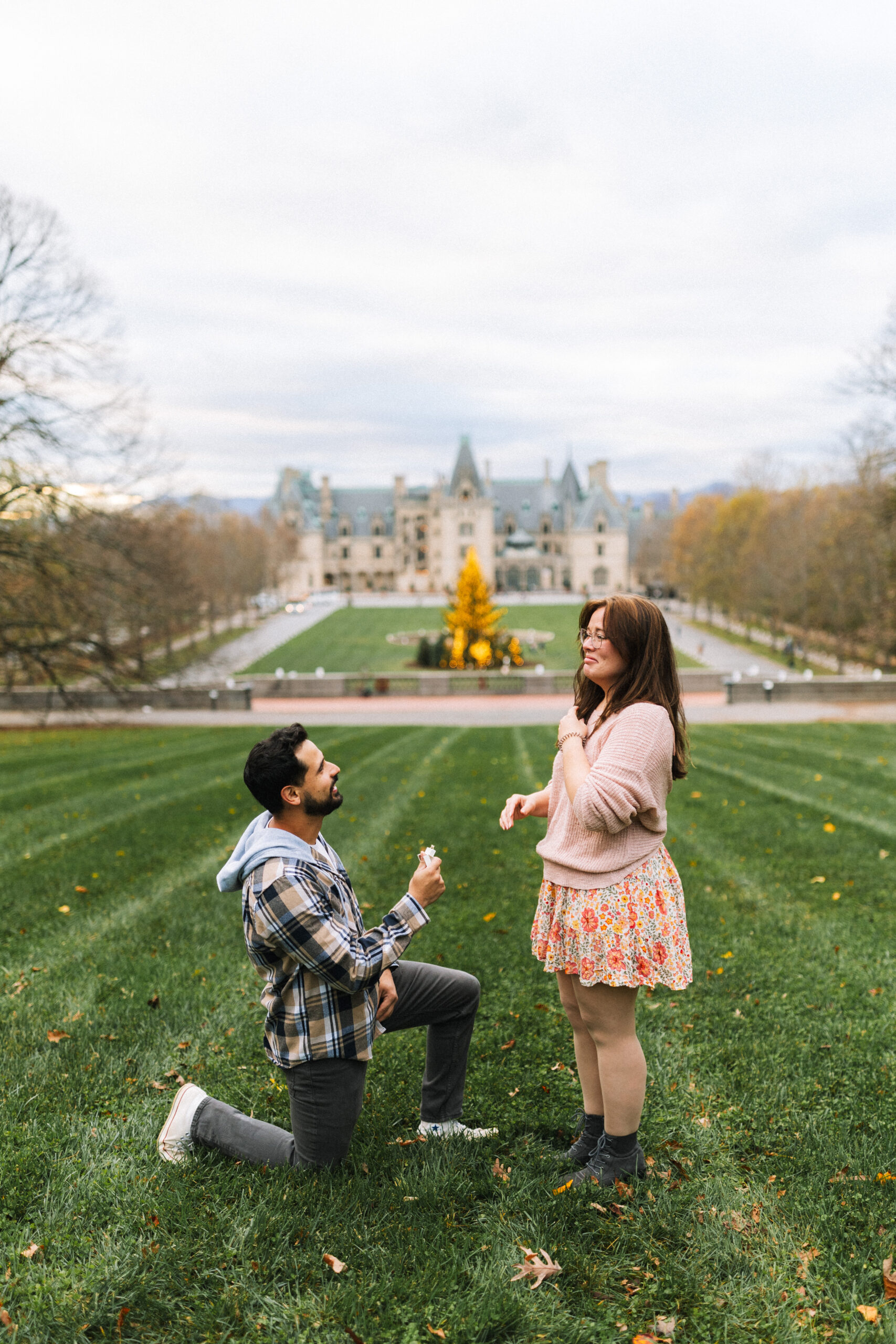 asheville nc biltmore estate proposal