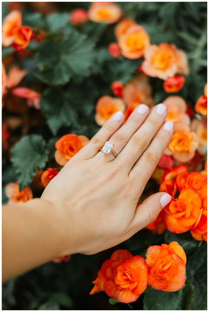 proposal at the Biltmore estate